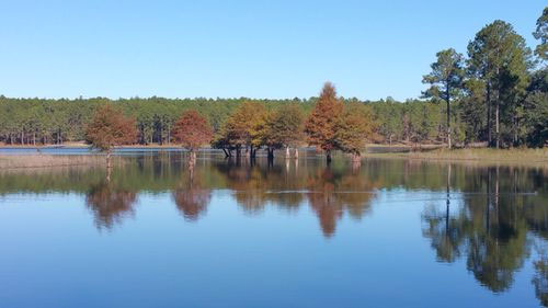 Open Pond Recreation Area